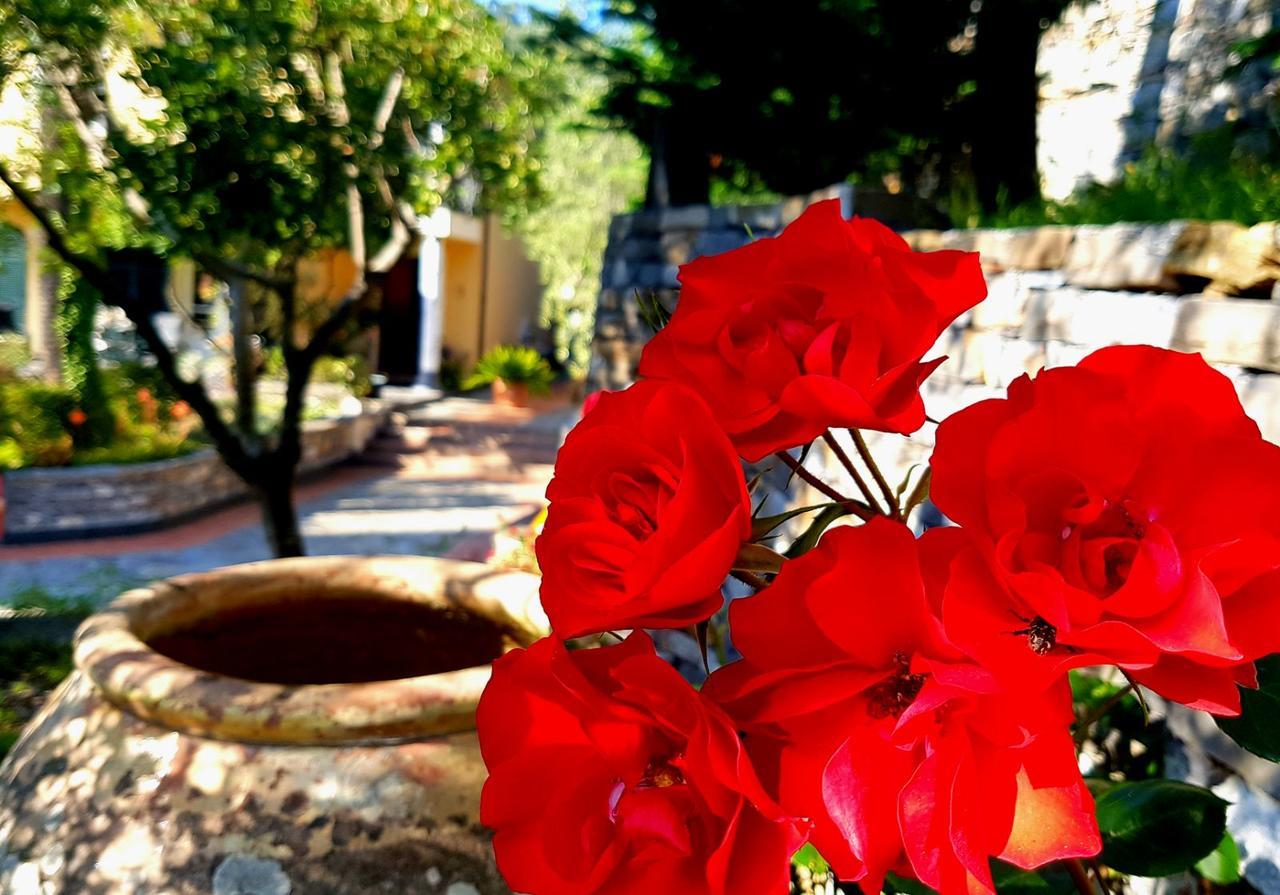 Tenuta Agriturismo Il Risveglio Villa Imperia Exterior photo